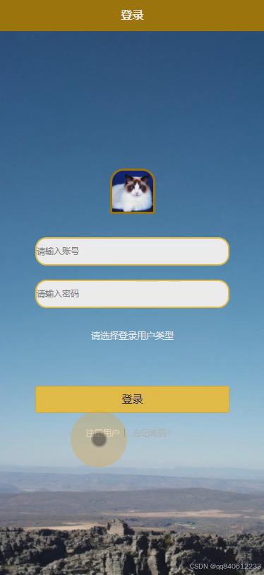 在这里插入图片描述