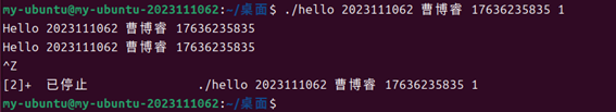 哈工大计统大作业 程序人生-Hello’s P2P