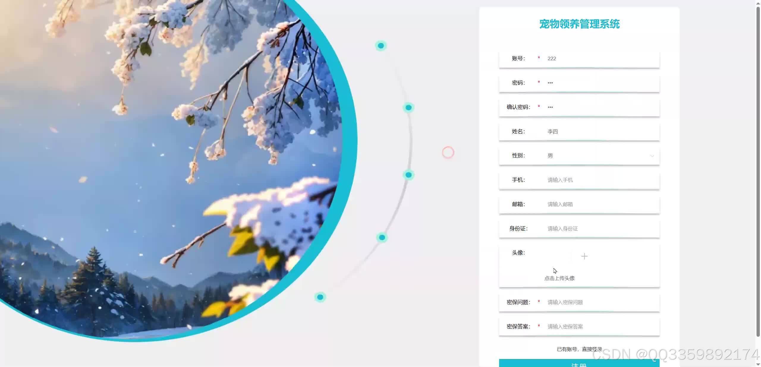 在这里插入图片描述