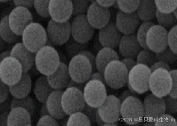 PS Microspheres,ps微球粉末20nm-200um的特性_ps粉 窄粒径分布-CSDN博客