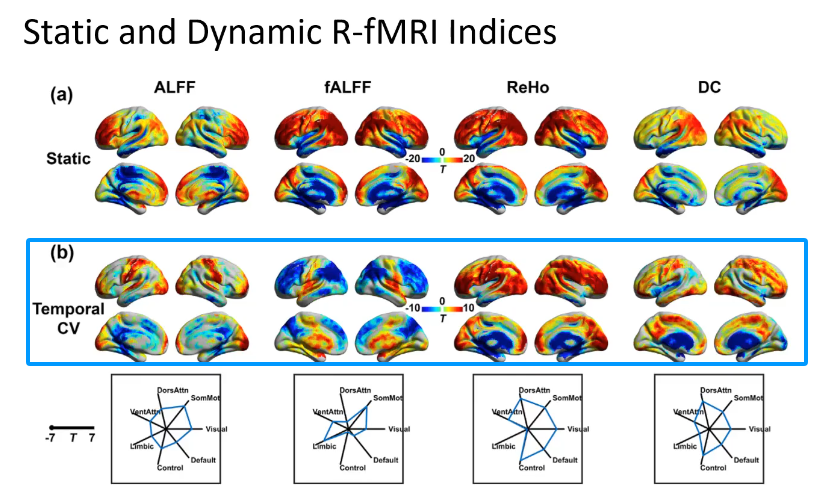 静息态功能磁共振成像(rs-fMRI)原理与数据分析学习笔记（7）：Dynamic Analysis-CSDN博客