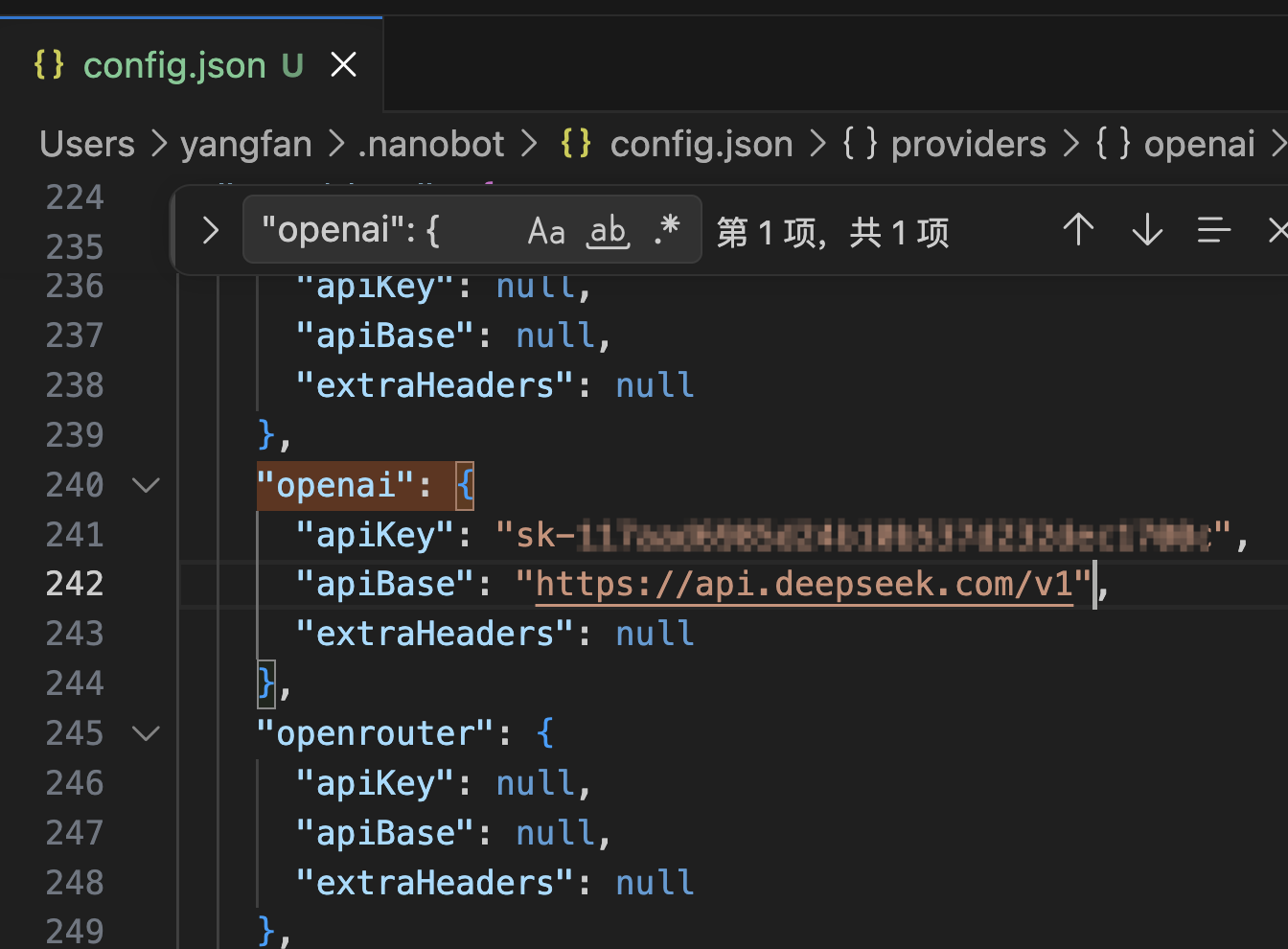 填写 API Key 截图