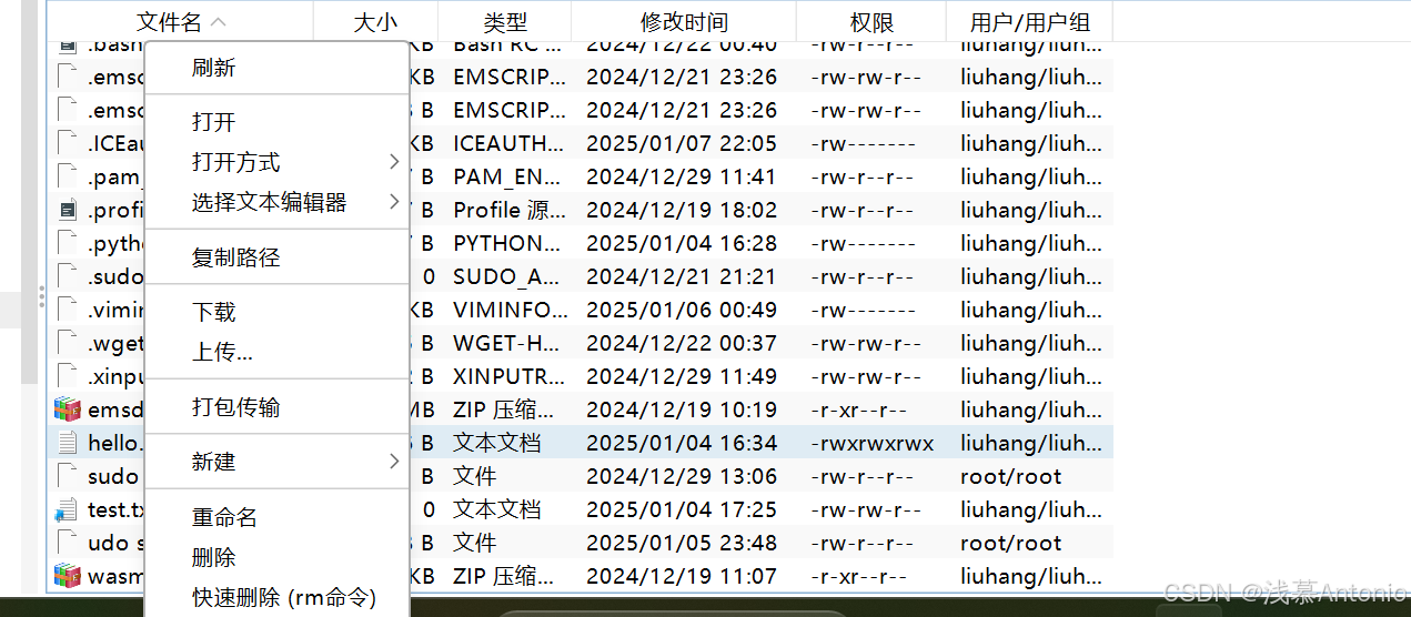 在这里插入图片描述