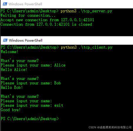 Python TCP网络编程_Python socket入门教程_用python做网页