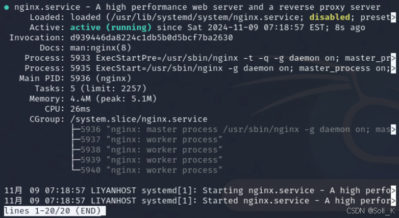 在 Debian 系统上安装和配置 Nginx 服务器_debian安装nginx