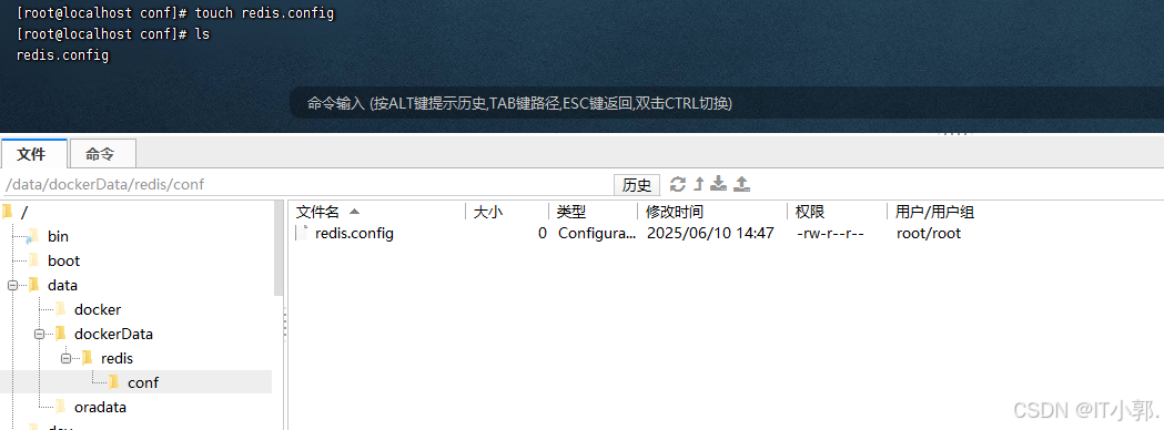 在这里插入图片描述