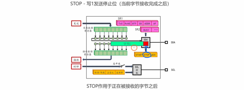 【STM32】江科大STM32小白养成记