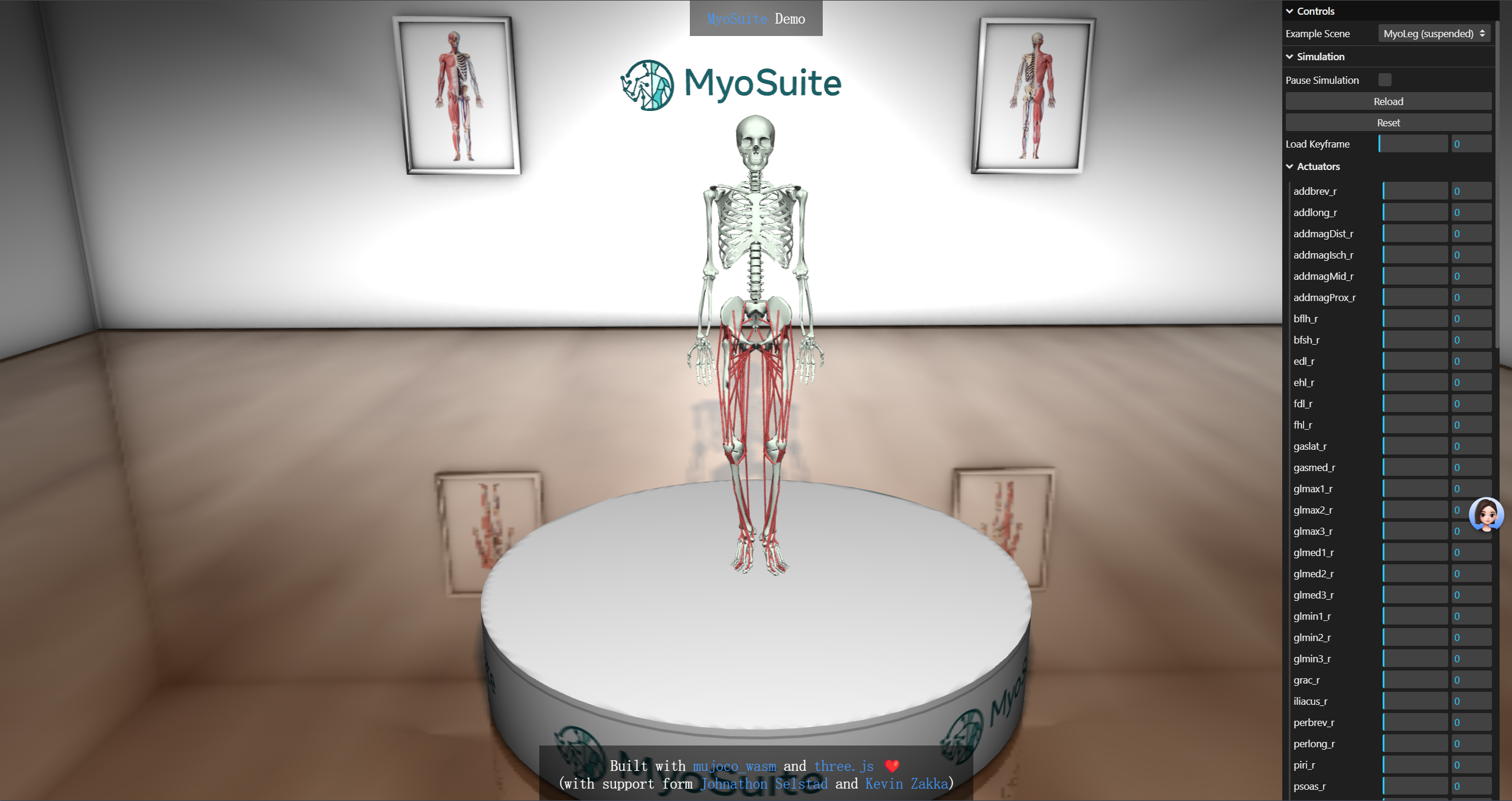 myosuite_demo online