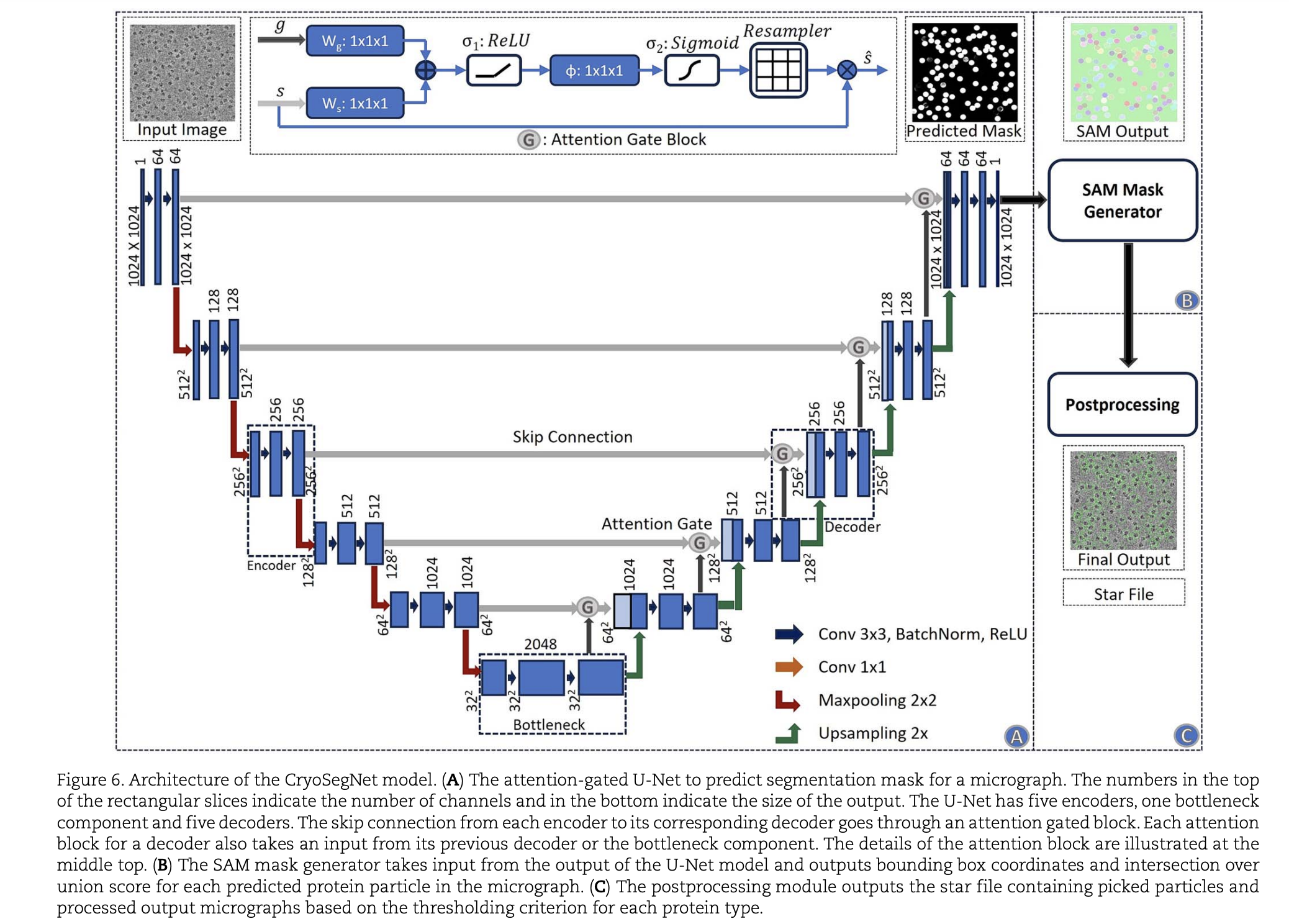 cryoEM CryoSegNet AI U Net cryoEM cryolo cryoem-cryosegnet-ai-u-net-cryoem-cryolo