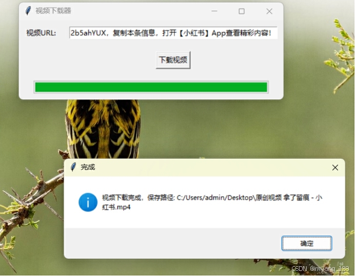 Python Write File 小红薯视频下载(python)_python下载小红书视频-CSDN博客