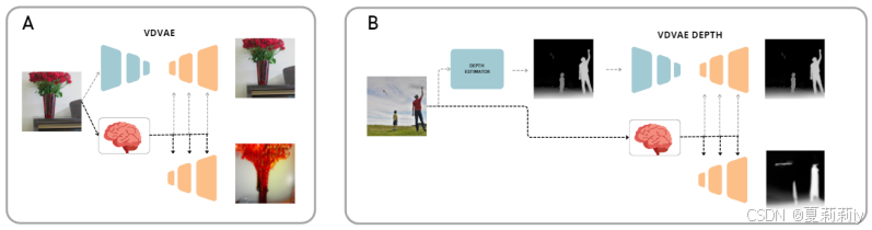 [NeurIPS 2023 Workshop Unireps]Brain Captioning: Decoding human brain ...