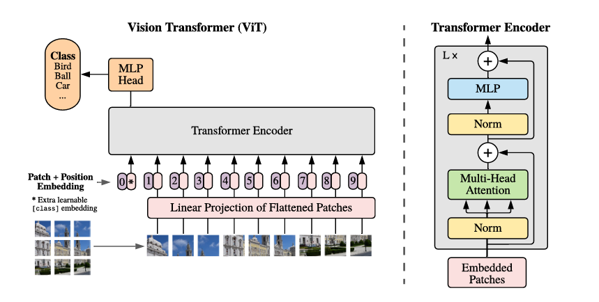 ViT Structure