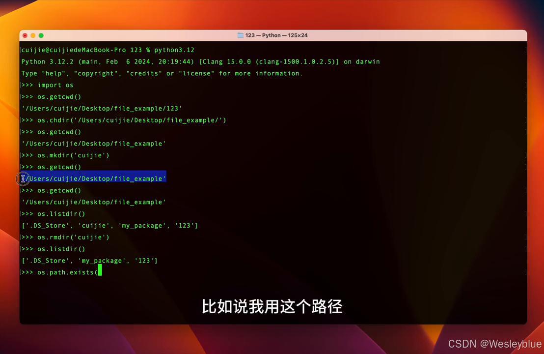 python学生系统_os模块 文件目录操作 进程管理