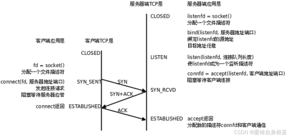 【linux】网络基础（十）TCP协议，TCP协议报文格式，标志位ACK SYN RST FIN PSH URG，超时重传机制，三次握手，四次 ...