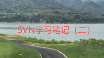 SVN学习笔记(二)封面图