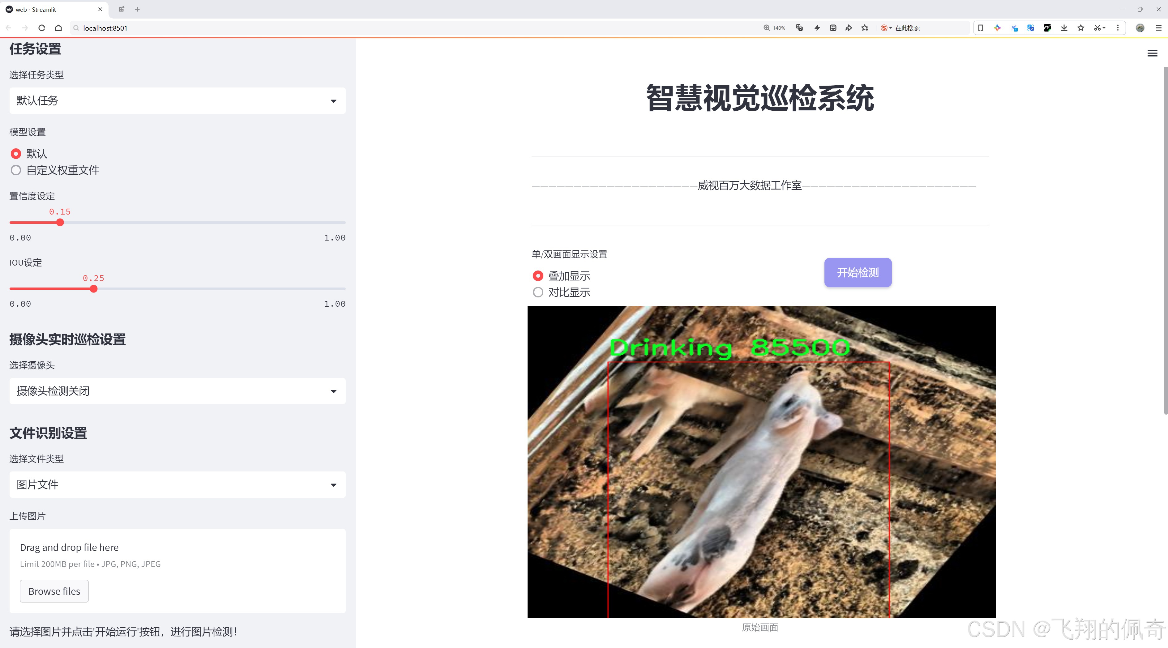 识别效果示例