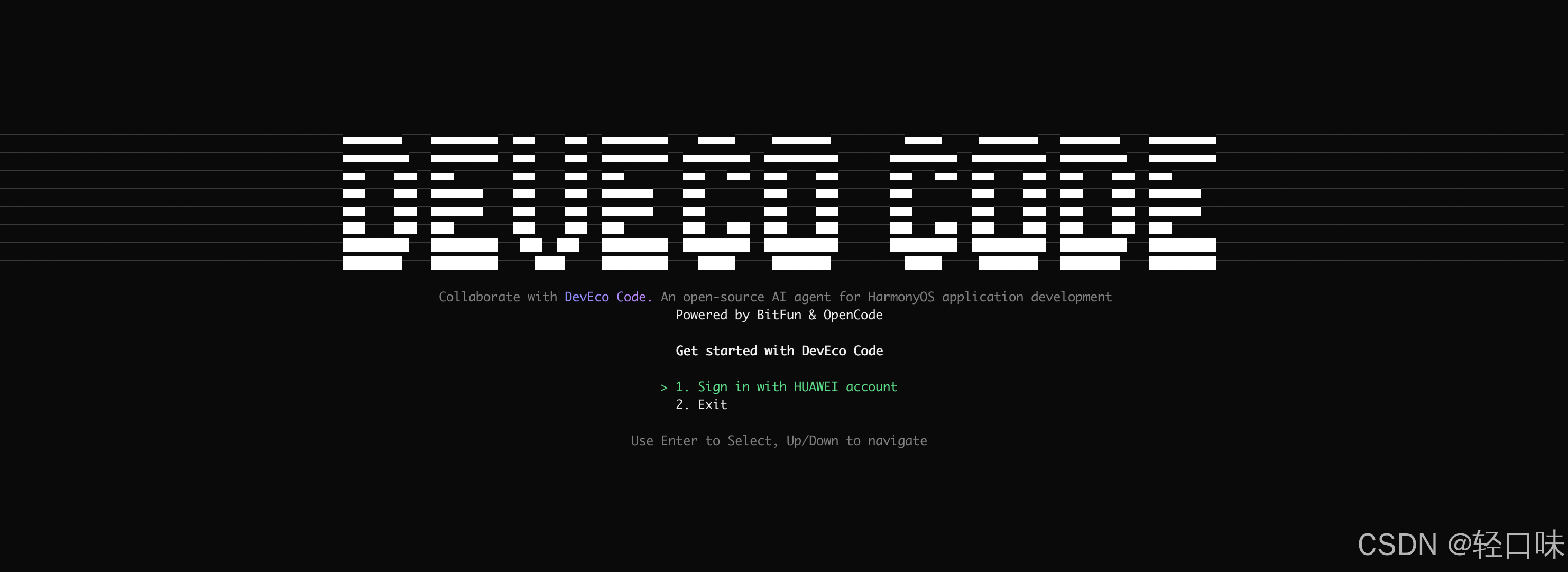 DevEco Code 入门与最佳实践.png
