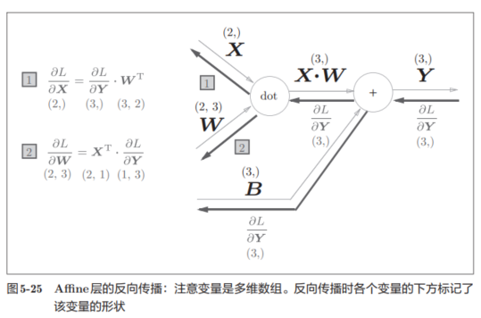 反向传播