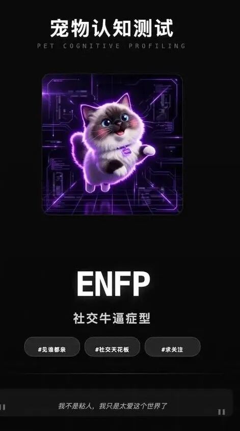 宠物 MBTI 分享海报