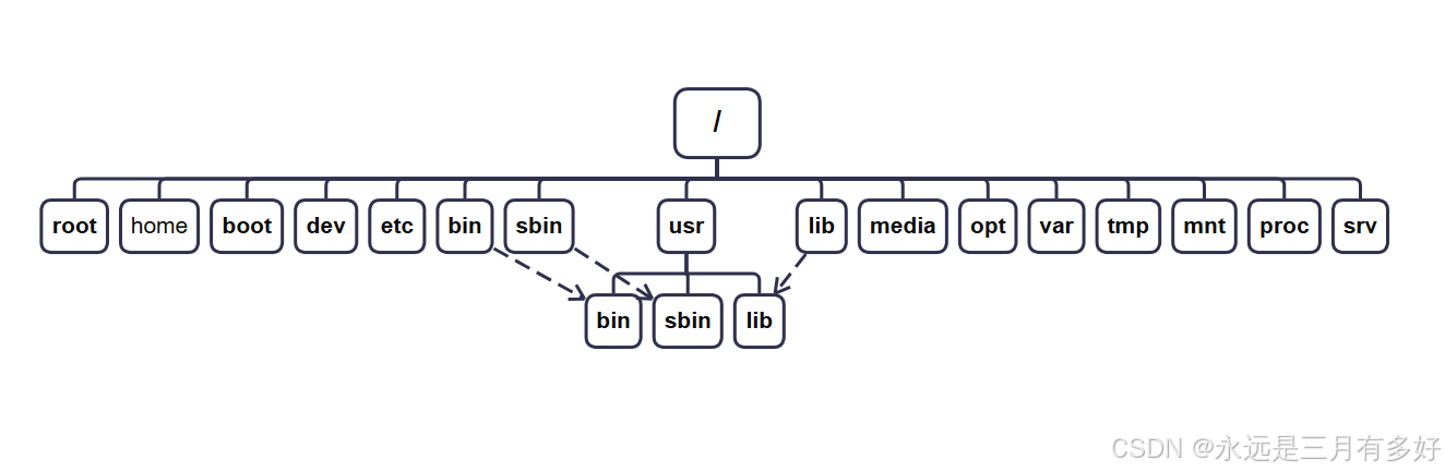 Linux基础(一):Linux文件系统结构_linux树形文件系统-CSDN博客