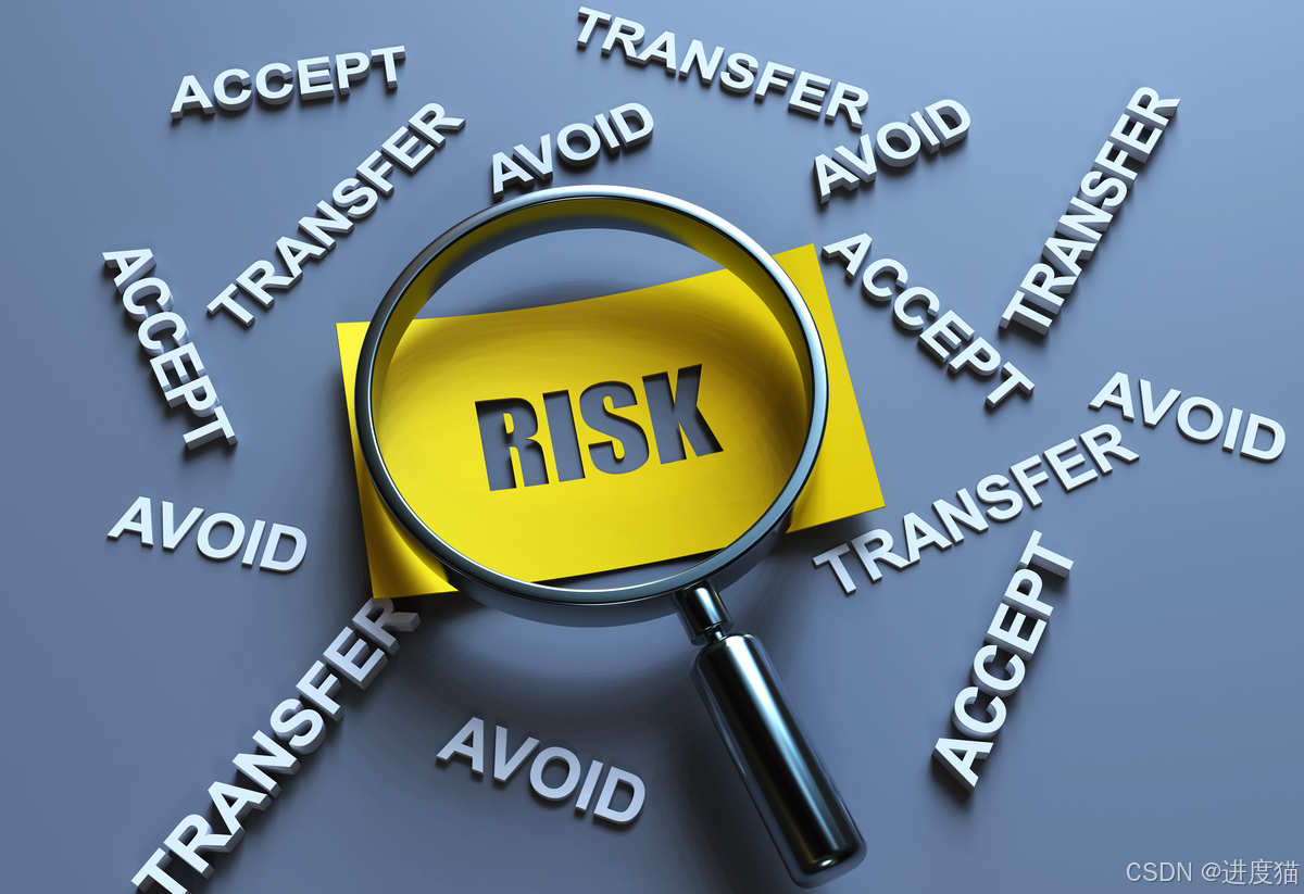 项目成功的基石：全面解析项目风险管理的关键步骤-CSDN博客