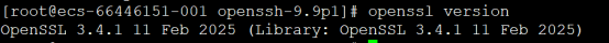 麒麟v10 国产化系统升级openssh_麒麟v10升级openssh