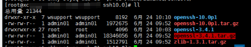 Linux——麒麟v10国产化系统升级openssh到10.0版本全过程_麒麟v10升级openssh