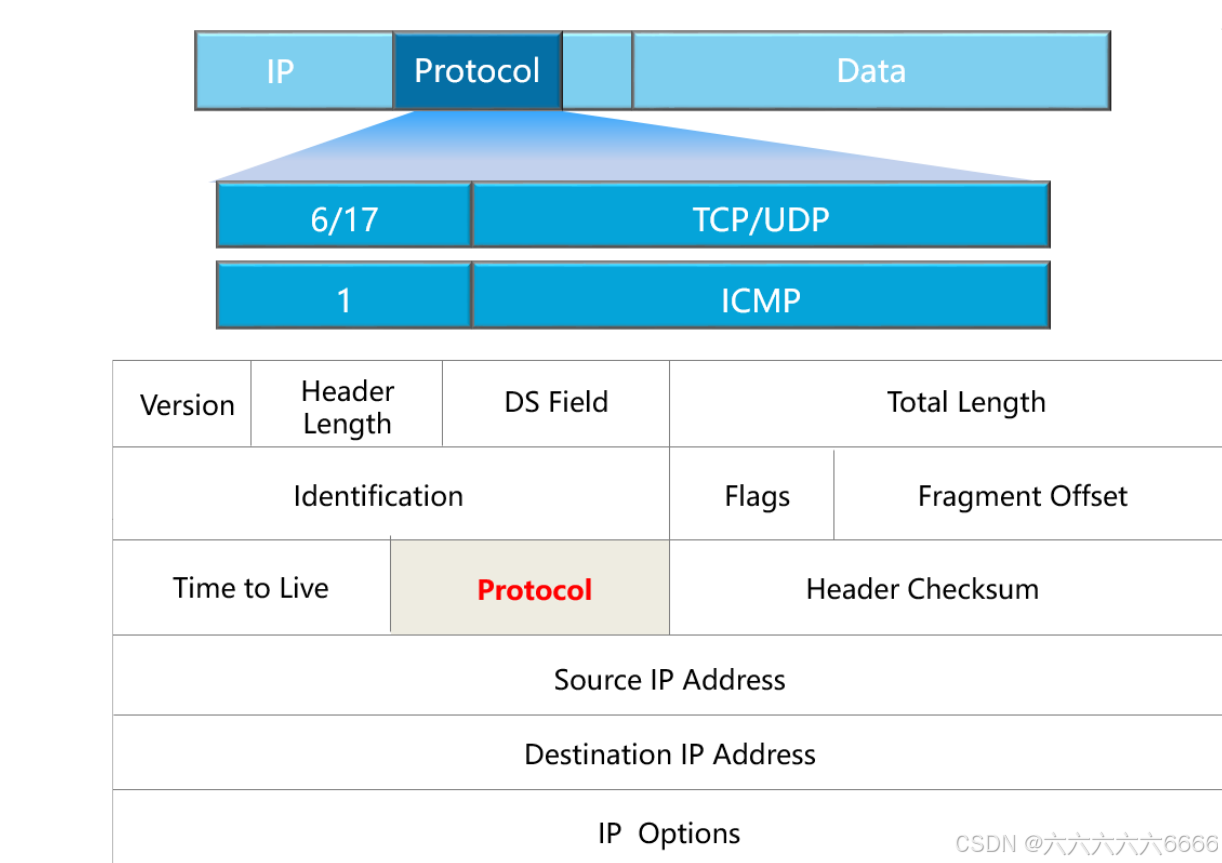 IP 协议分析_ip协议分析-CSDN博客