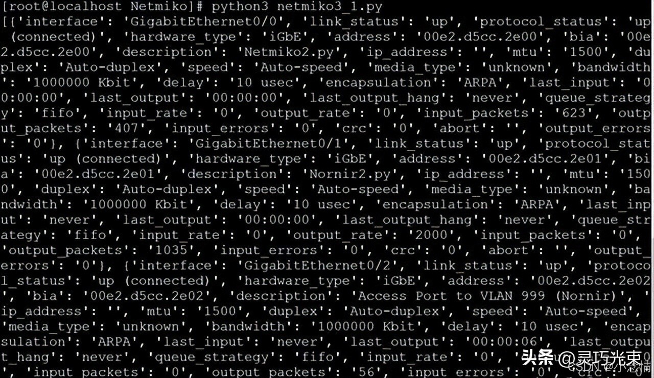 Netmiko Python自动化网络配置_Python netmiko_批量管理设备SSH登录