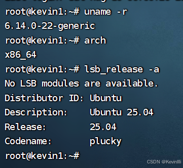 PS：我这里使用的是Ubuntu 25.04
