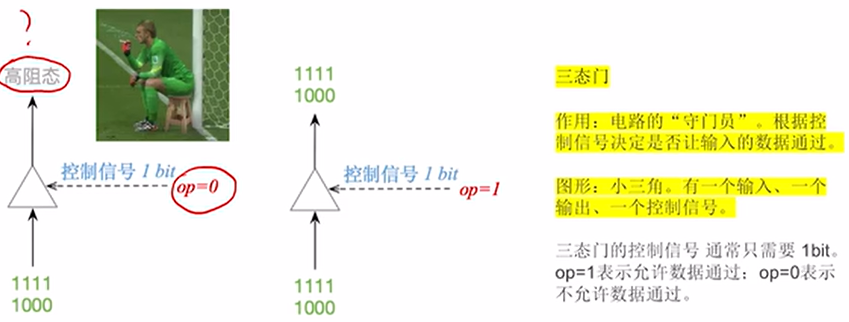 图片消失了