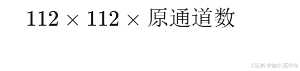 [
112 \times 112 \times \text{原通道数}
]