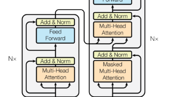 从零手写Transformer：基于每一步shape变化拆解与PyTorch实现