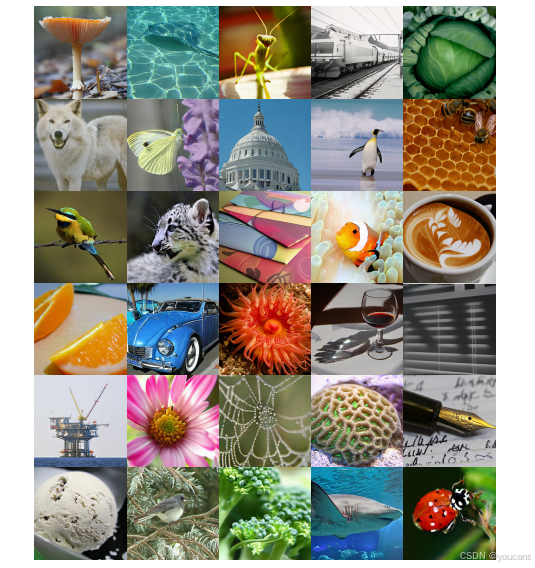 在这里插入图片描述