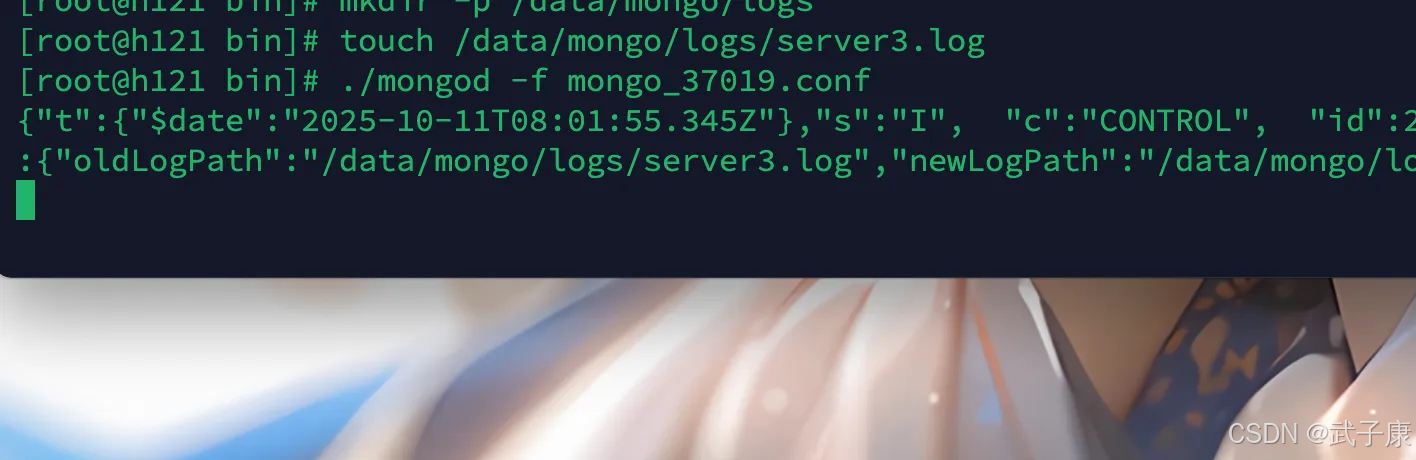 启动MongoDB节点3