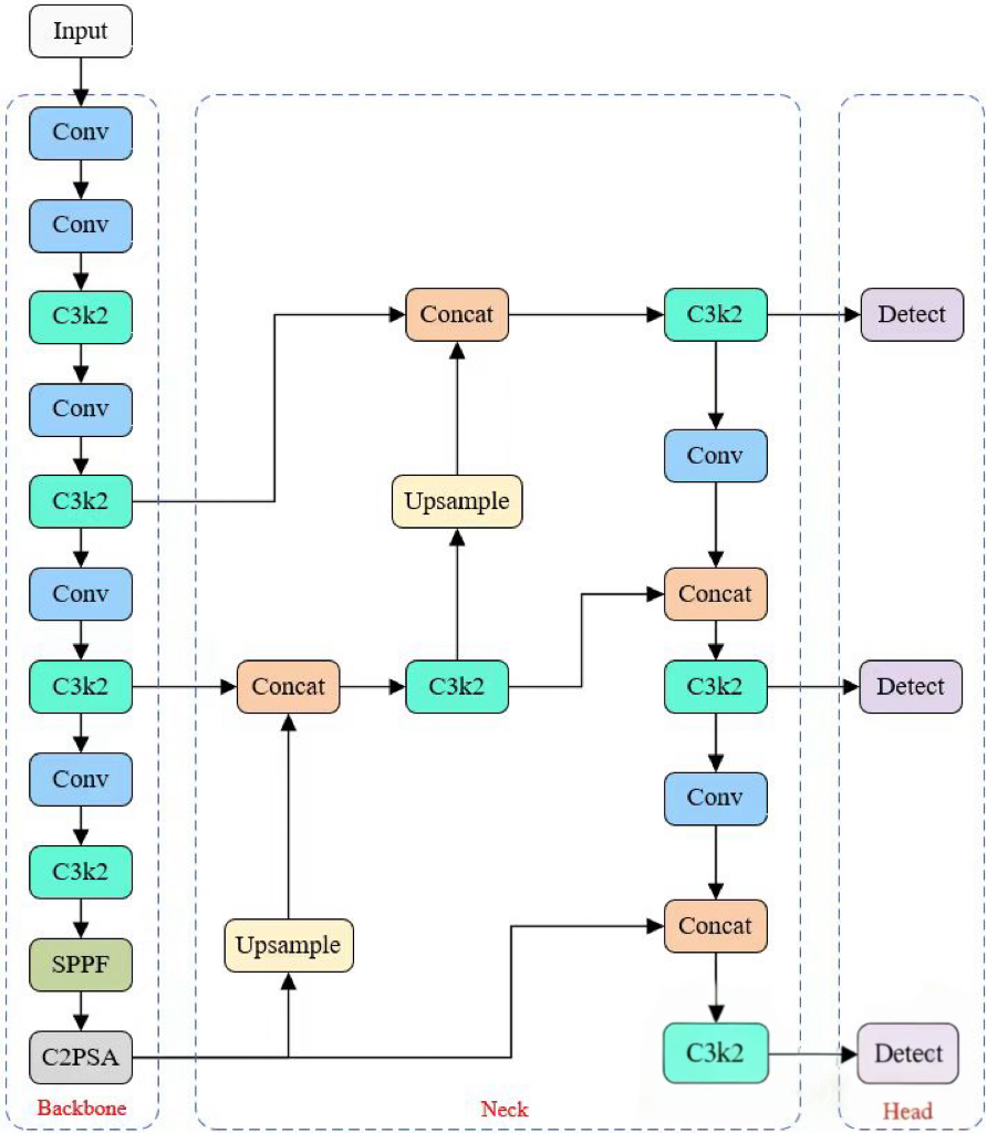 Yolov11笔记1 原理与架构解析yolov11分类单输出的网络架构 Csdn博客 