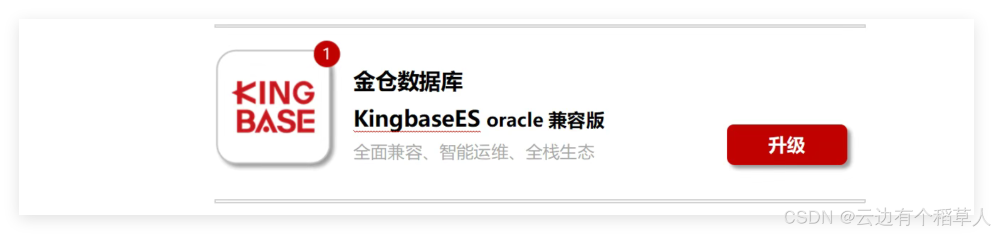 兼容性再提升，效率再加速：KES Oracle兼容版强势升级！