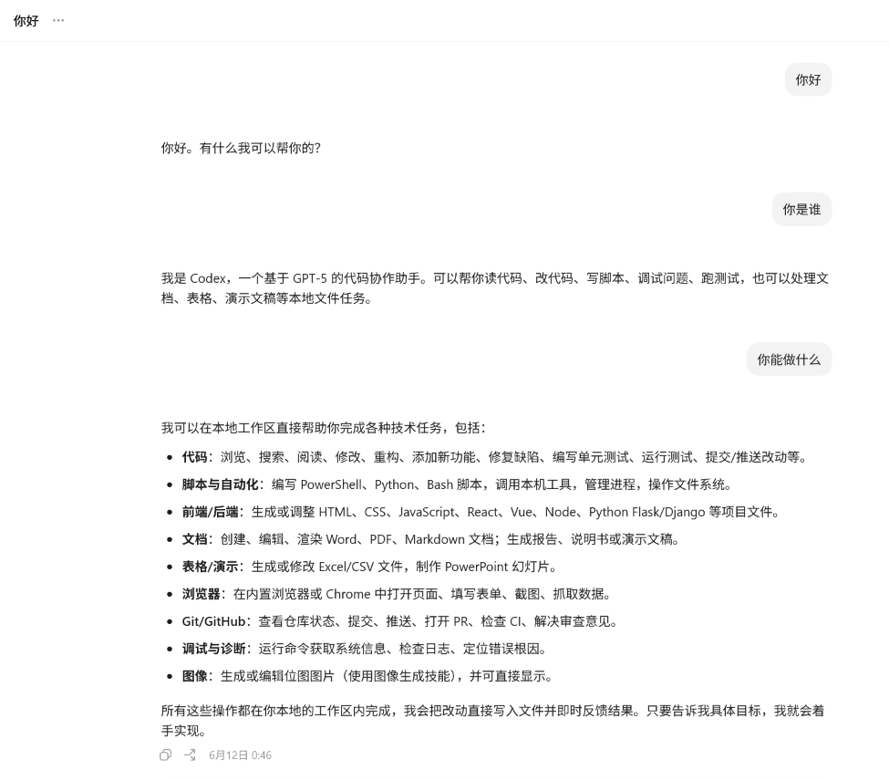 图 4：接入 OpenRouter 模型后，Codex 的实际对话测试界面