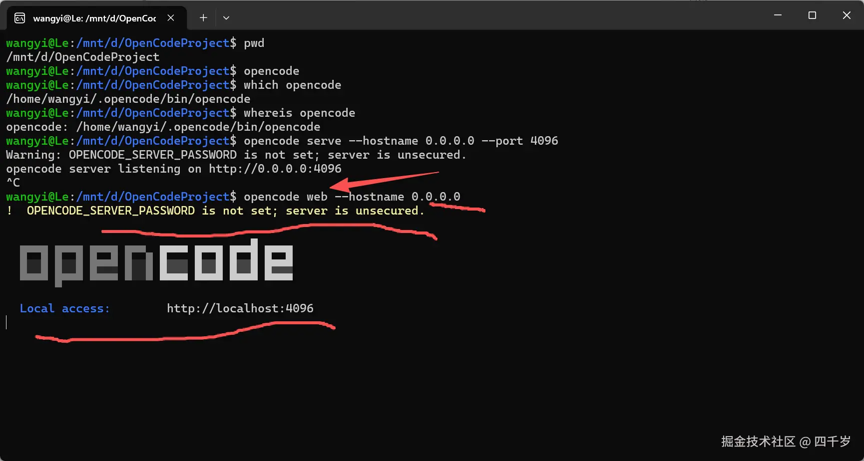 在浏览器中使用OpenCode