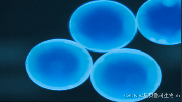 Sio2 微球 Blue SiO2 Microspheres,蓝色二氧化硅微球:是一种具有特定光学和化学性质的微球材料_光学级二氧化硅微球-CSDN博客