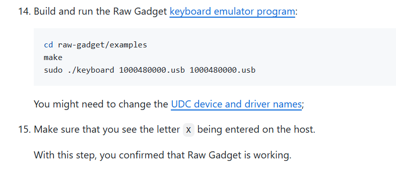 raw-gadget example