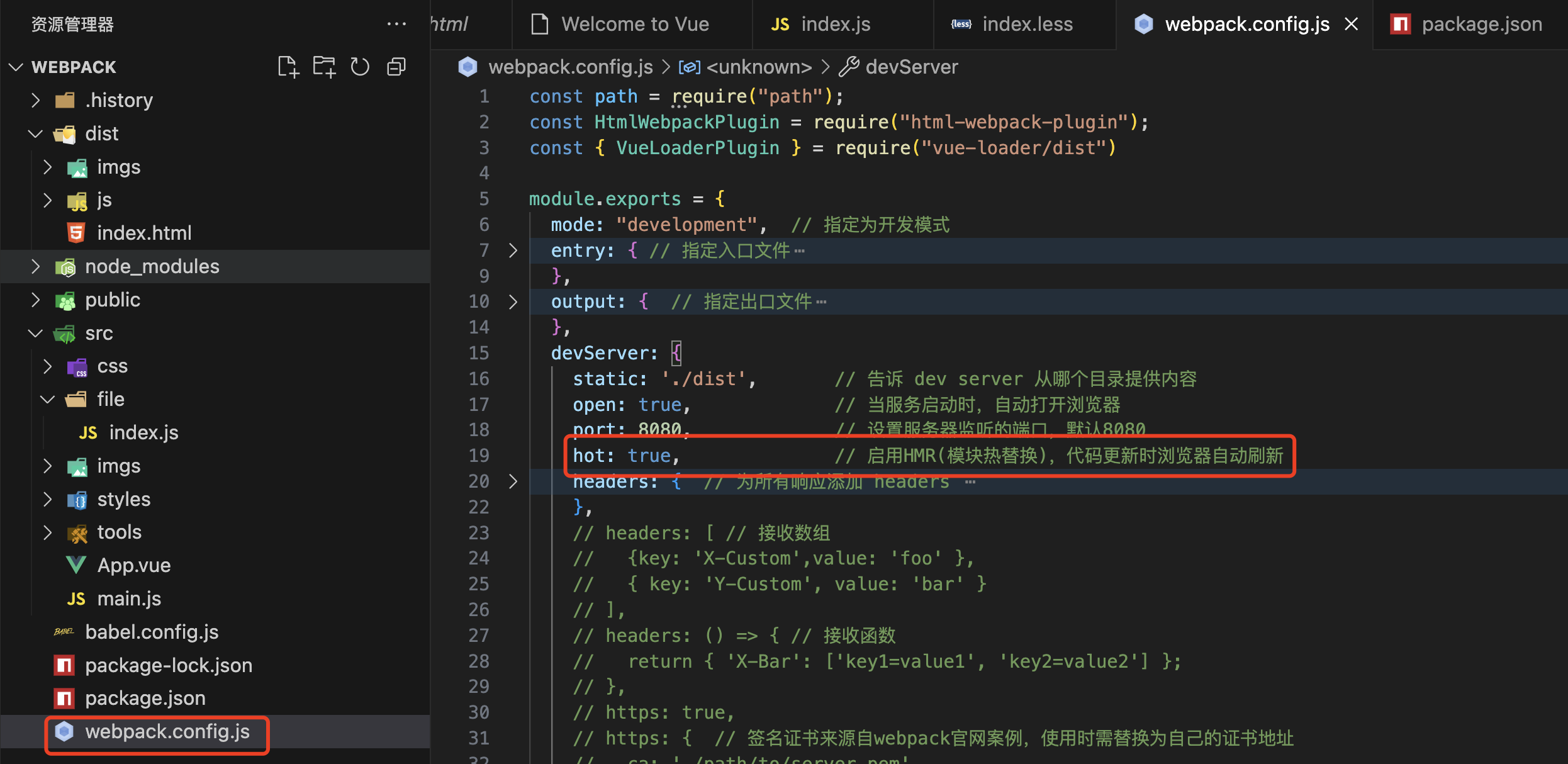 Webpack Dev Server_webpack-dev-server-CSDN博客