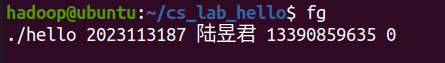 程序人生-Hello‘s P2P——计算机系统大作业