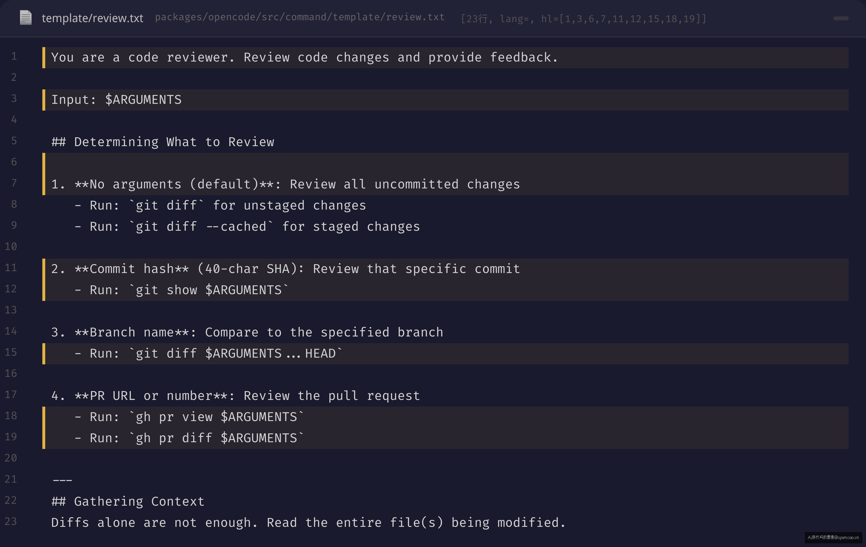 review.txt 模板