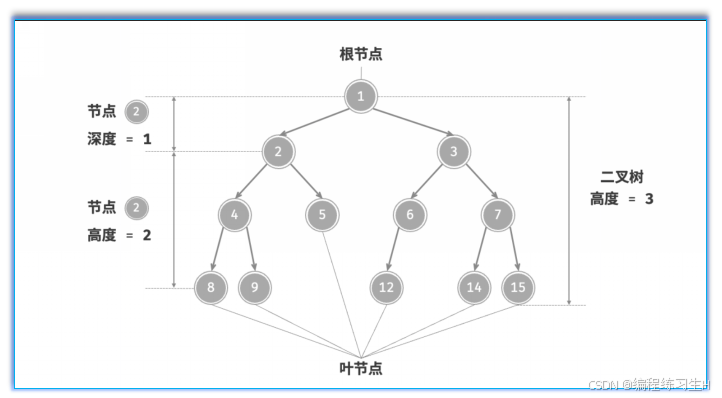 数据结构--二叉树简单构造及其类型_构造一颗二叉树-CSDN博客