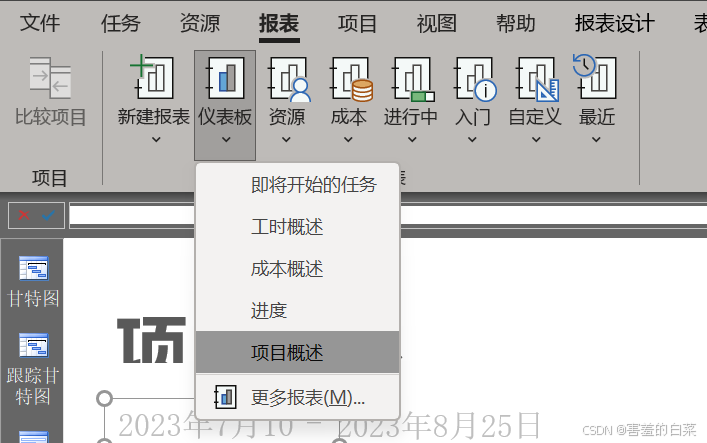 2025最新出版 Microsoft Project由入门到精通(九)_project中的自定义域-CSDN博客