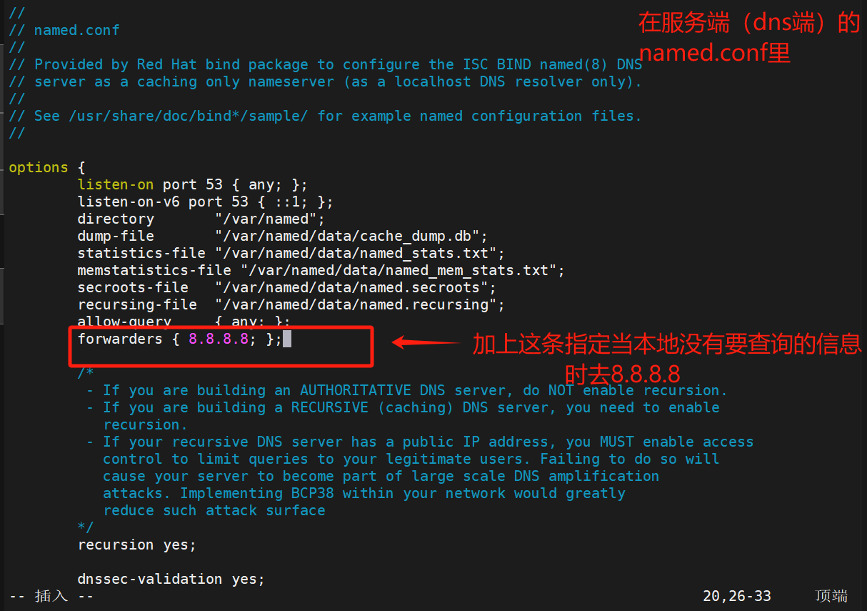 【Linux笔记】DNS域名解析服务器（dns的安装、named.conf、resolv.conf、named.rfc1912.zones、slave辅助dns）_named 域名服务安装