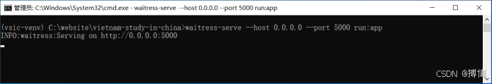 Windows server服务器上部署python项目（超详细教程）_python 服务器上部署