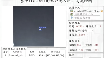 红外无人机与鸟类目标检测数据集 | 红外检测 无人机识别 鸟类检测 低空安防 反无人机 yolov11模型9151期封面图