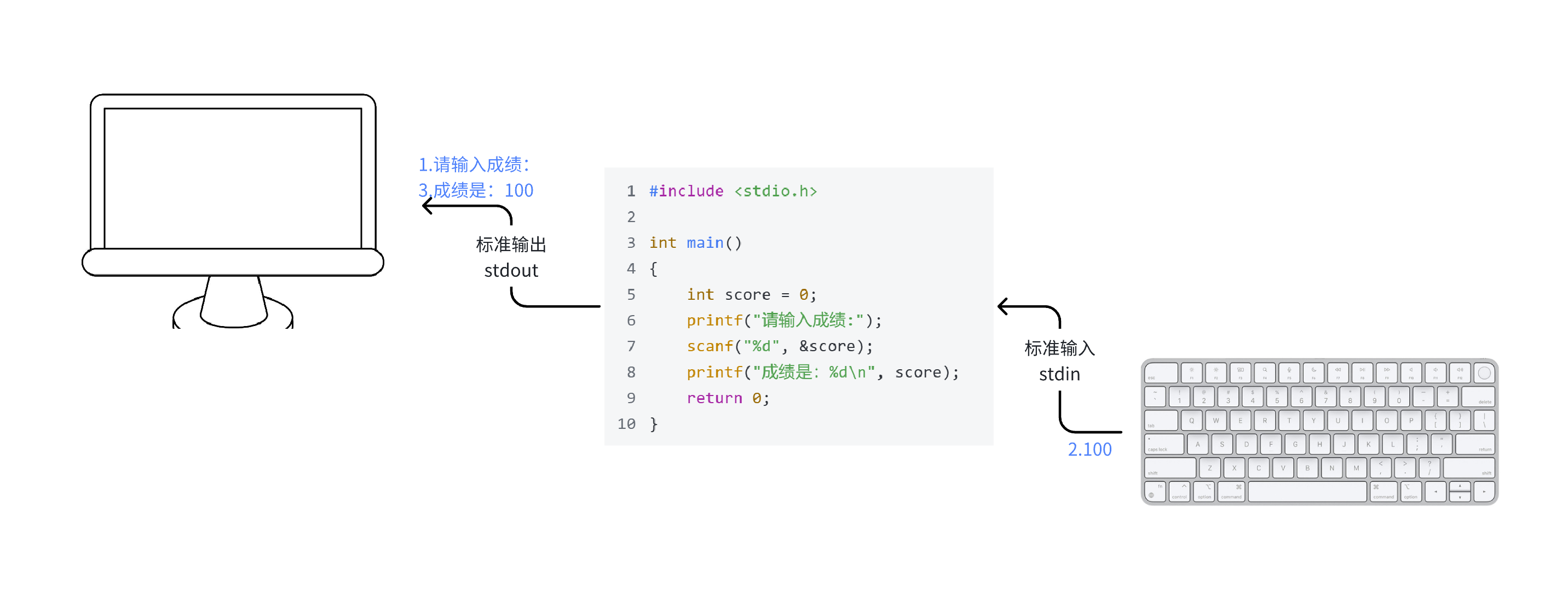 【C语言入门级教学】C语⾔数据类型和变量2-CSDN博客